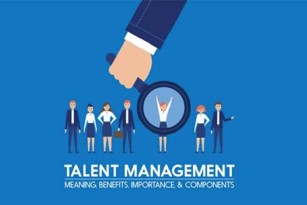 Talent Management Life Cycle: Essential Stages