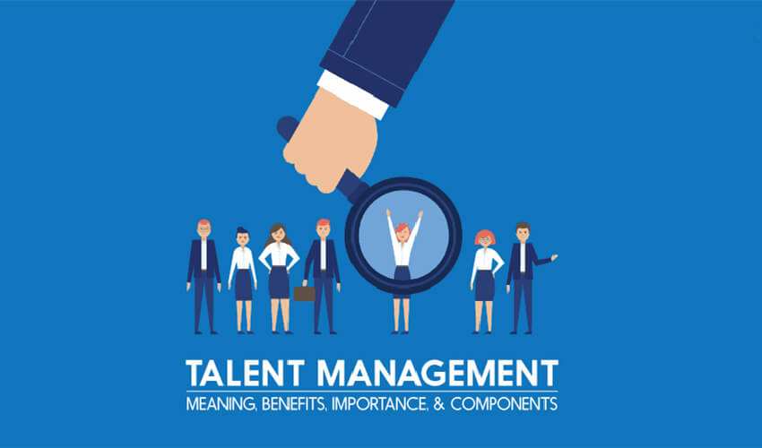Talent Management Life Cycle: Essential Stages